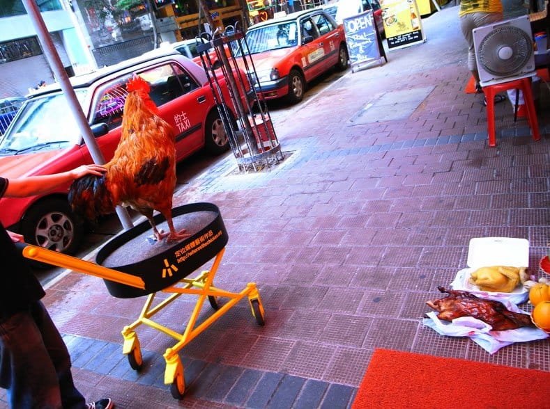 Ontdek de Sensatie van Chicken Road Casino Online in Nederland!, chicken road spel